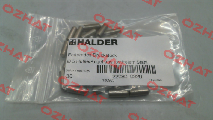 22080.0320 Halder