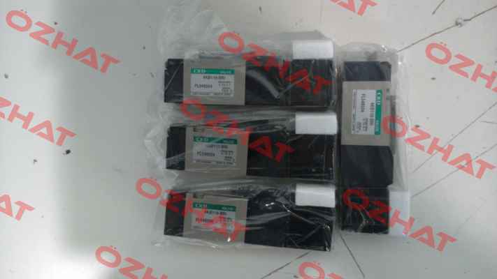 4KB119-00-BRI-FL548504-DC24V Ckd