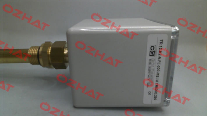 TR 12-K2-A-FE-300-MS-I Goldammer