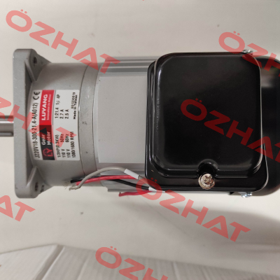 J220V18-300-21.4-A (A012) G3 Luyang Gear Motor