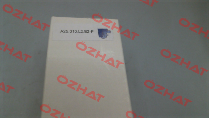 FE A25.010.L2.B2-P Fluidtech