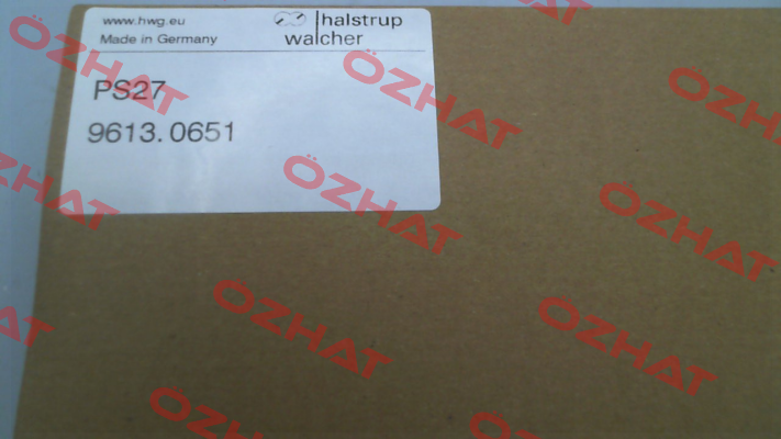 9613.0521 Halstrup Walcher