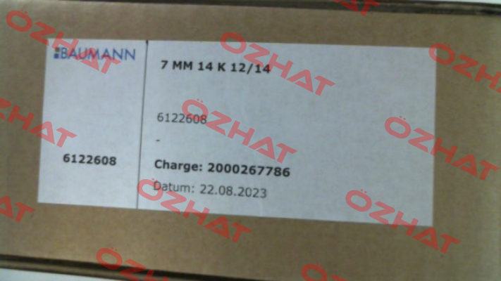 6110630 Baumann
