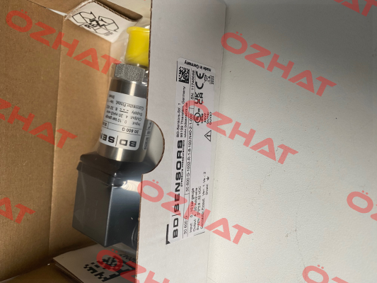 30.600G-1002-R-1-8-100-N40-2-1-000 Bd Sensors