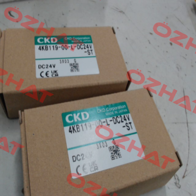 4KB119-00-L-DC24V Ckd