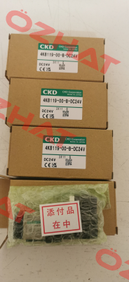 4KB119-00-B-DC24V Ckd