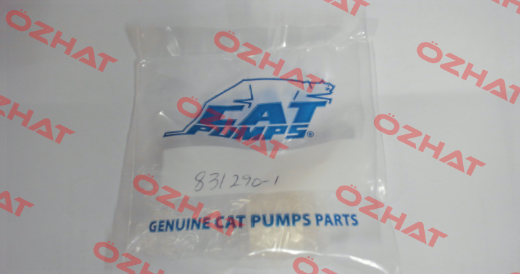 831290 - PLUNGER, CERAMIC (M20x18) Cat Pumps